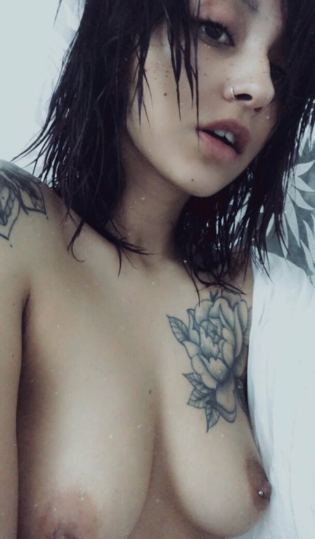 sunmoonlia nice star galleries