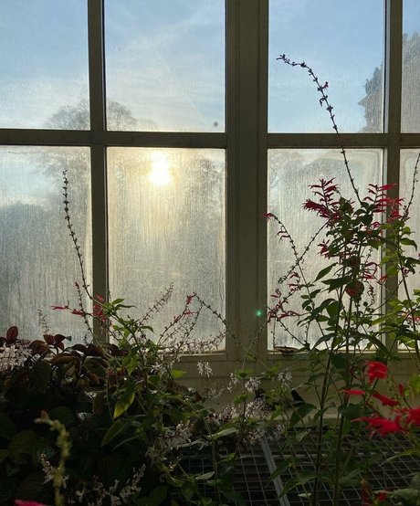 Mydirtyhobby pornstar adult picture