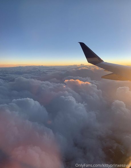 briannadam star best picture