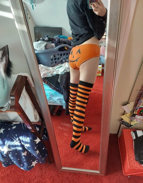 the waaa erotic pornstar pictures