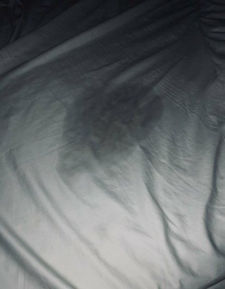 norwegian dollface nice model images