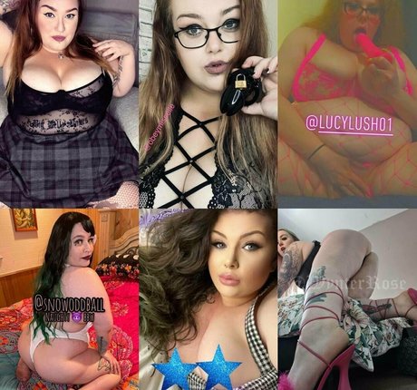 ellebb star free photo