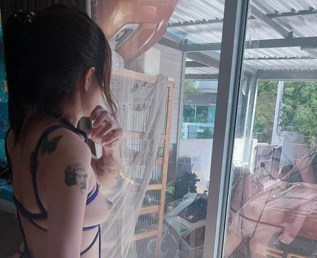 noonn 28 perfect star images