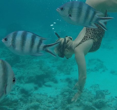 Wanda Nara perfect actress image