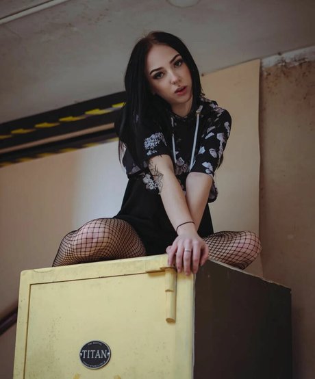 Jensteviexo adult model image