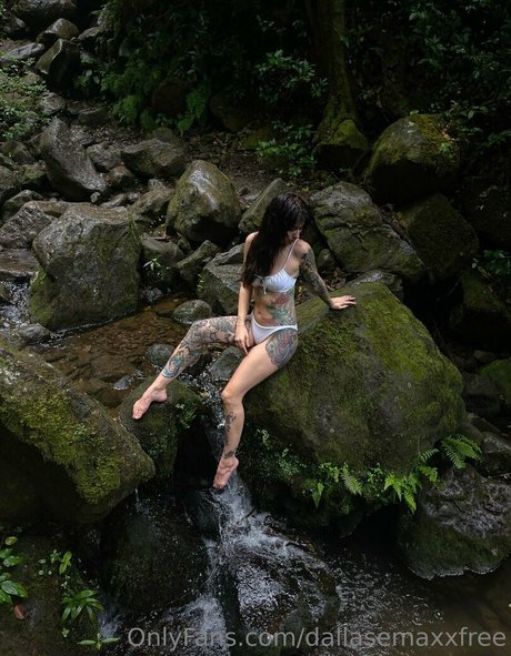 dallasemaxxfree top star image