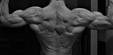 cbadonis pornstar sex picture