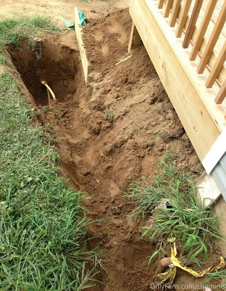 cbadonis star sex images