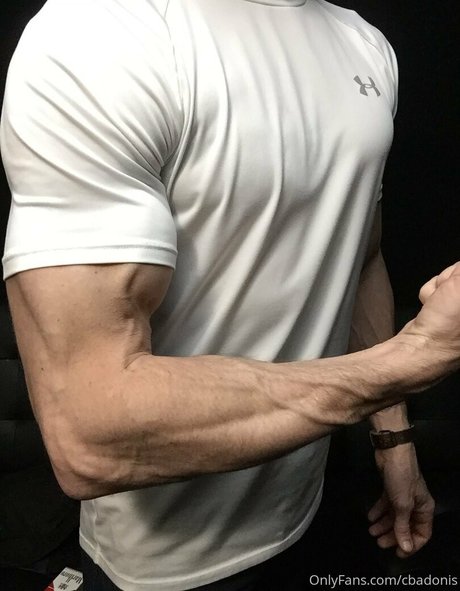 cbadonis adult actress gallery