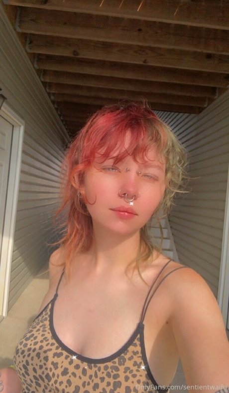 sentientwaifu pornstar art gallery