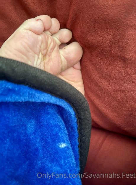 savannahs feet star nice picture