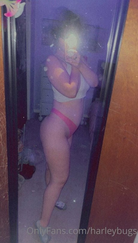 harleybugs free star galleries