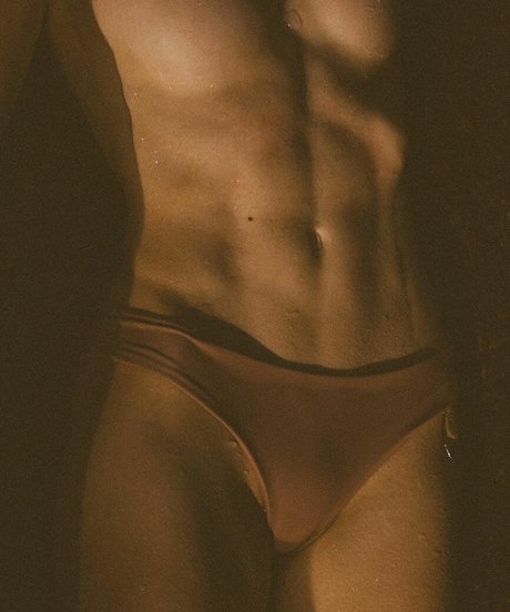 Niki Anson pornstar art img