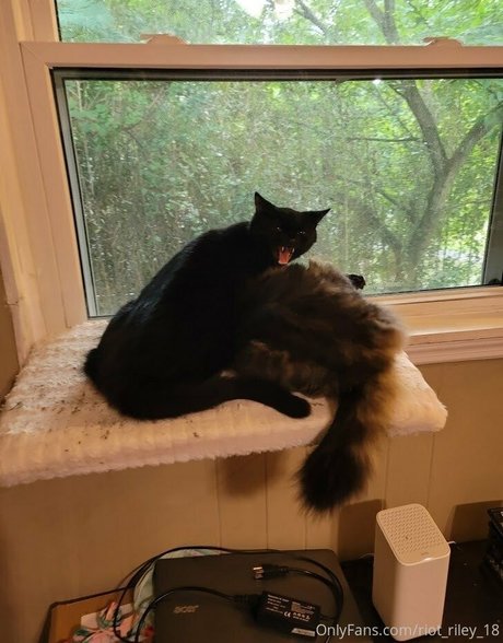 foxygamergurl nudes star image