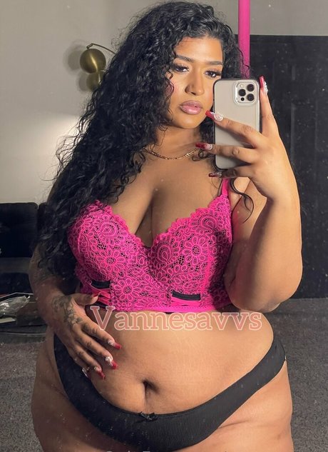 vannesavvs perfect model picture