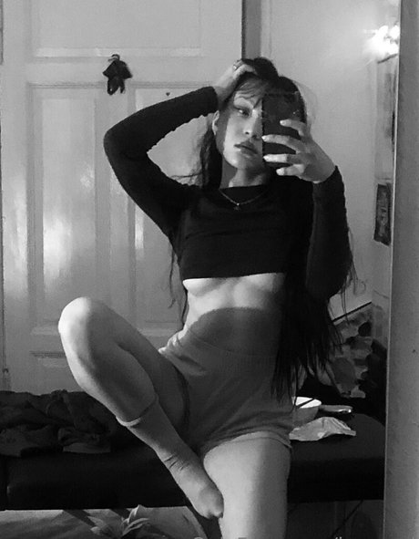 barvard model hot archive