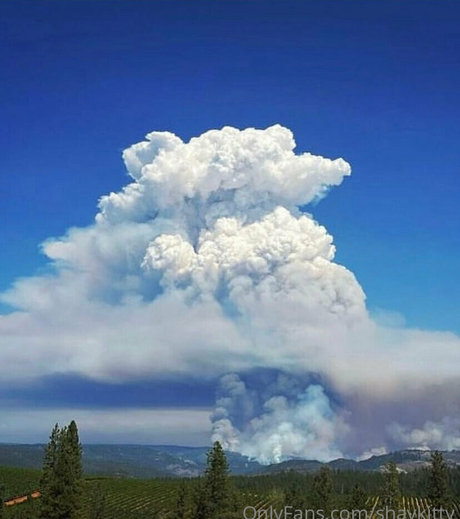 shaykitty star sexy pics