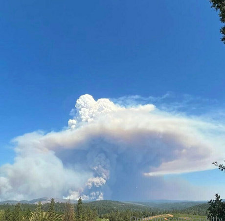 shaykitty star images