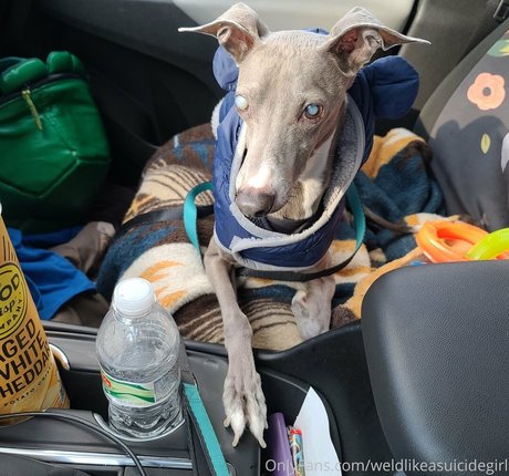 weldlikeababe pornstar naked picture