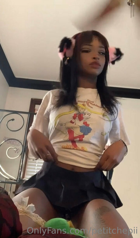 petitchepii high quality model image