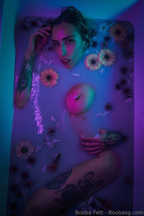 Boobasg pornstar adult archive