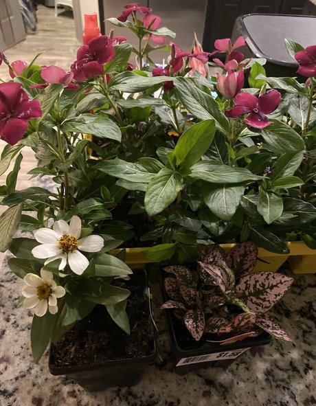 realskygray sexy actress images