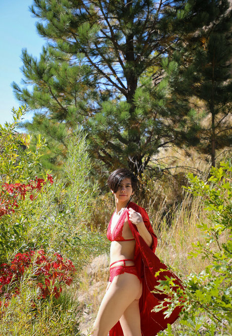 unisexi star high quality gallery