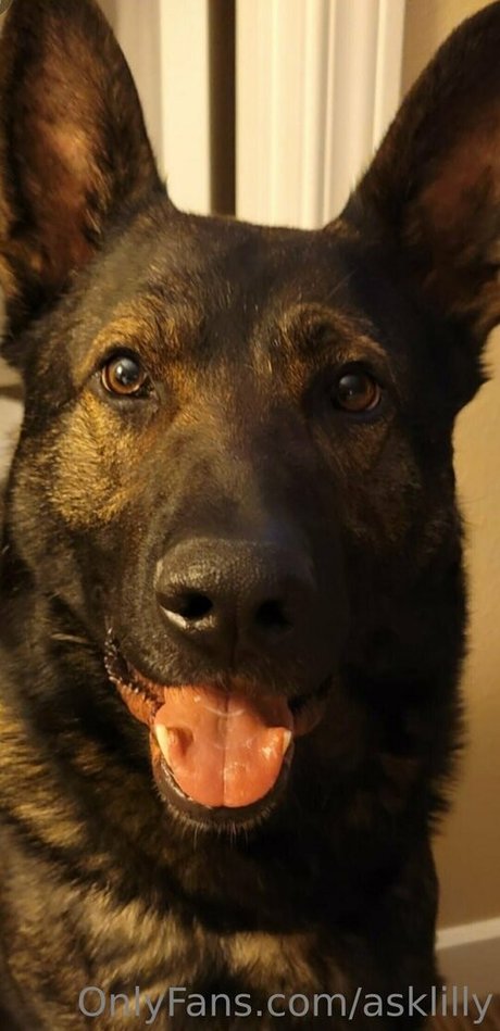 asklilly star erotic photos