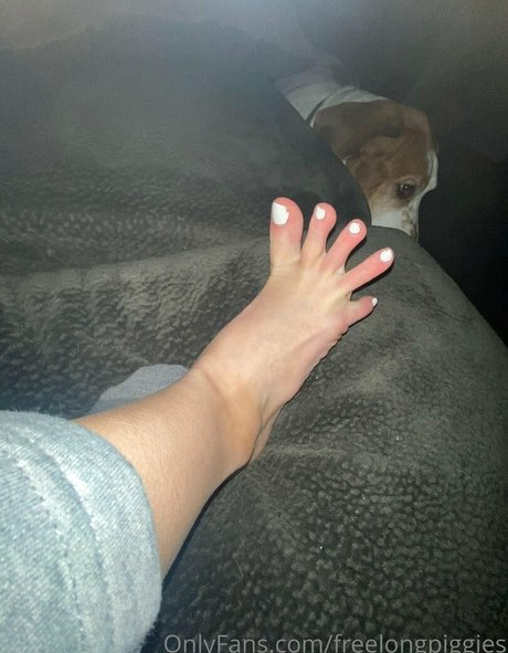 freelongpiggies model adult images