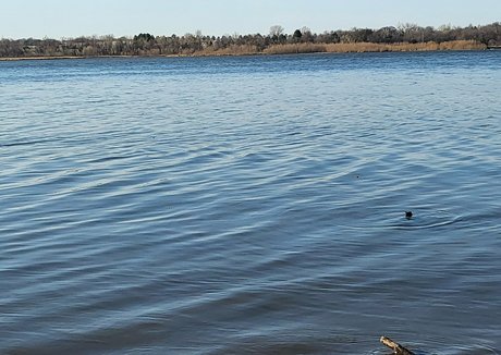 ur succubus gf star perfect pictures