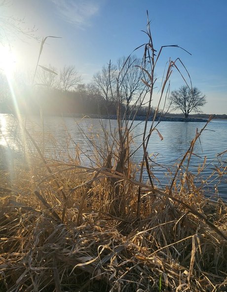 ur succubus gf model high quality gallery