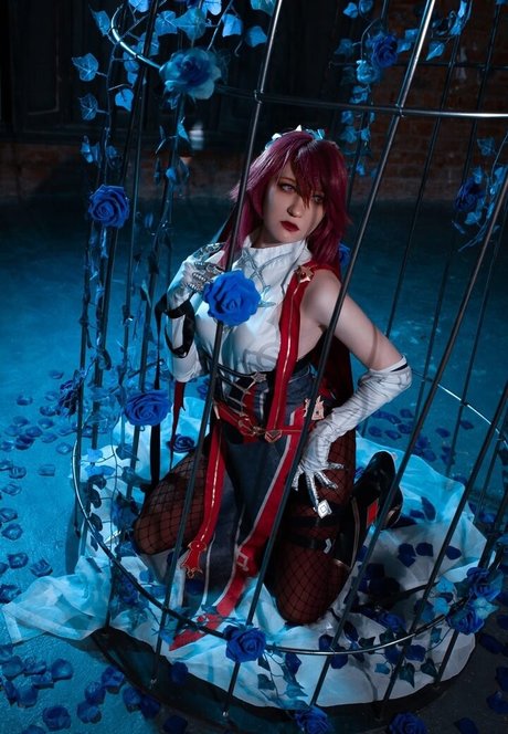 Erodaicon perfect model image