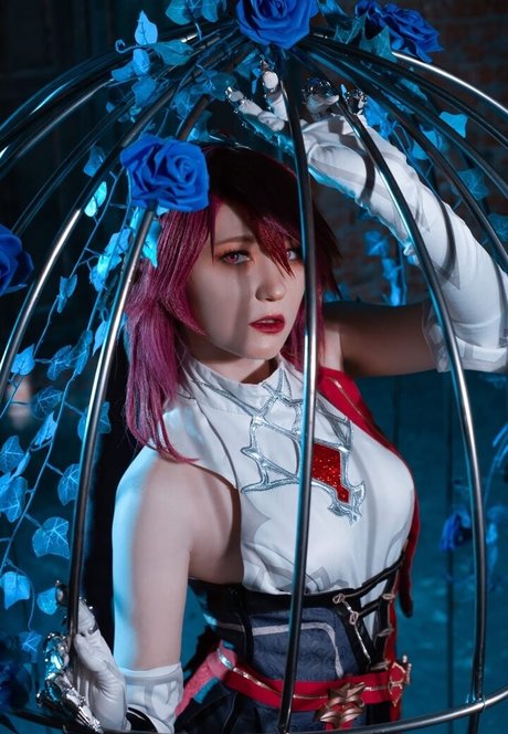 Erodaicon star porn gallery