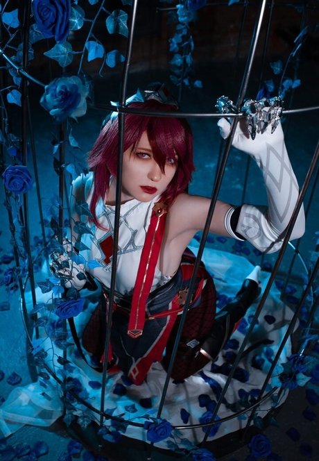 Erodaicon star perfect images