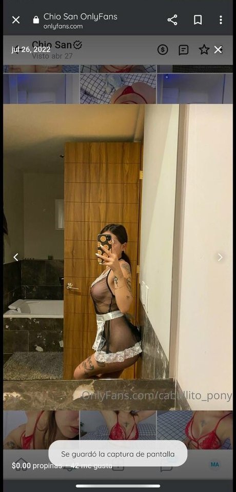 caballito pony erotic star gallery