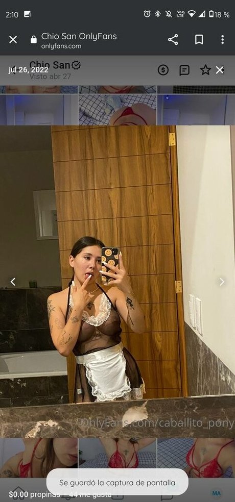 caballito pony beautiful star image