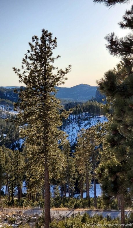 Emberwolf art actress gallery