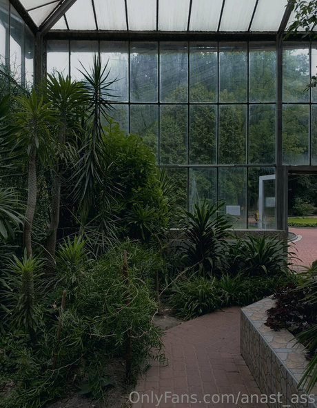 anast ass model pornographic images