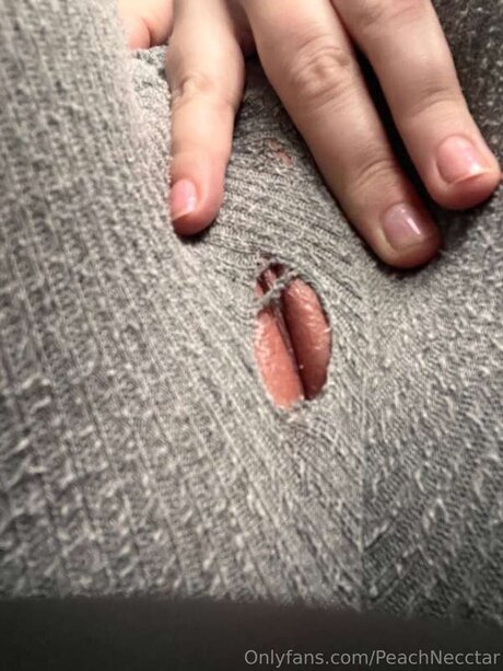 peachnecctar top model pic