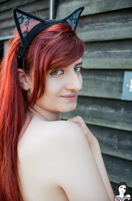 chessie x star high quality gallery