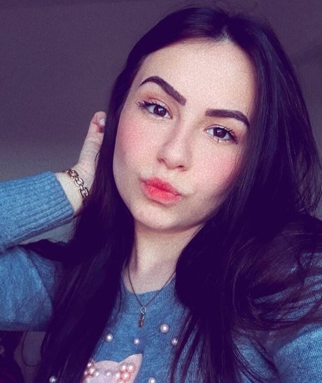 Gatas De Santa Maria Rs star high quality images