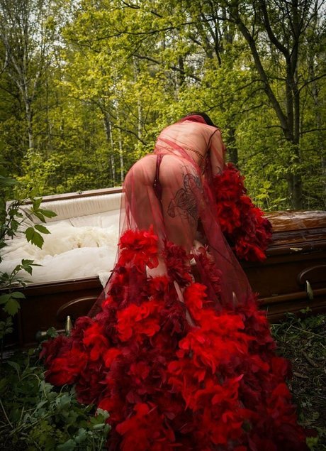 Sharon Ehman star archive