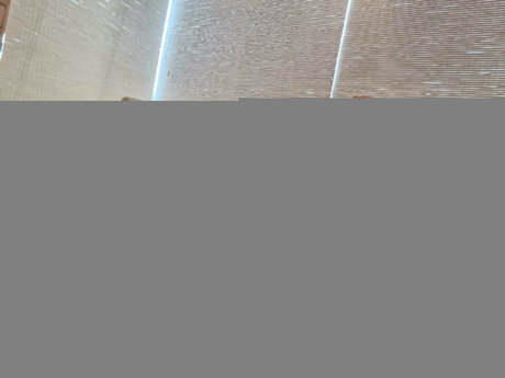 Jessie Rogue porn actress images