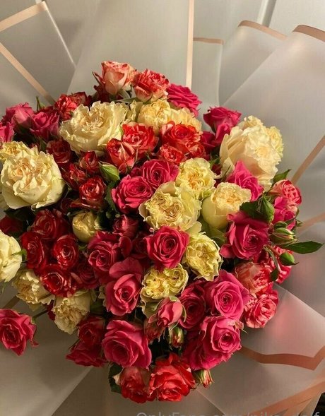 nika delf hd pornstar photos