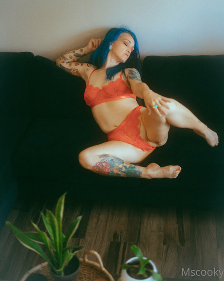 mscooky star high quality pictures