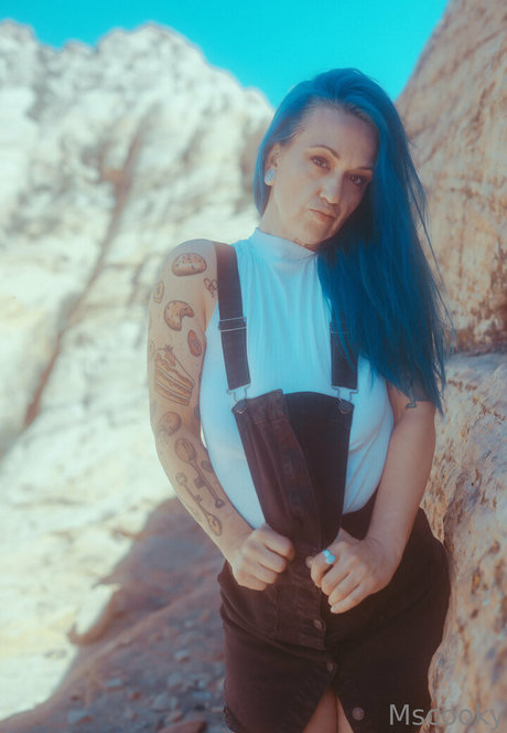 mscooky star art gallery