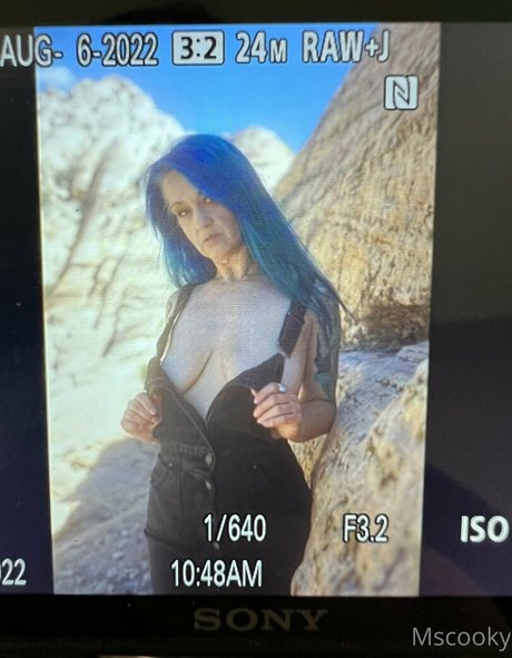 mscooky pornstar nude photo