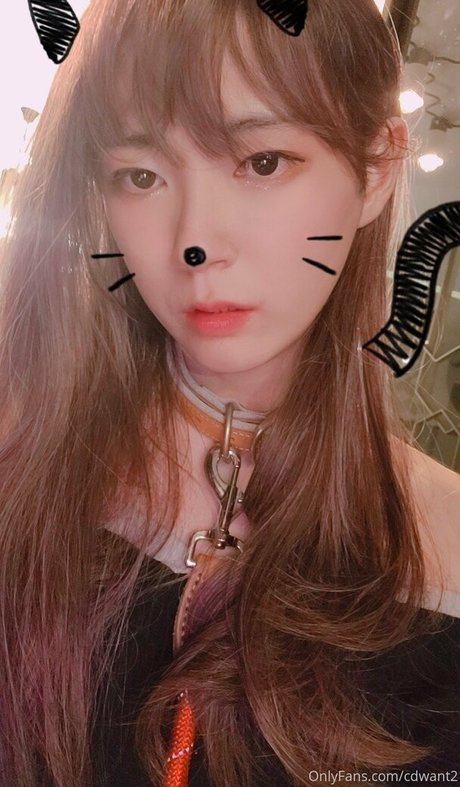 cdwant2 pretty star images