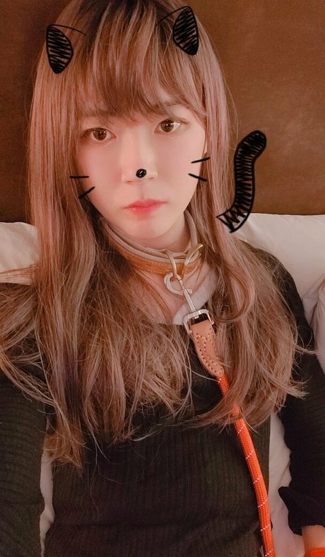 cdwant2 nice star galleries