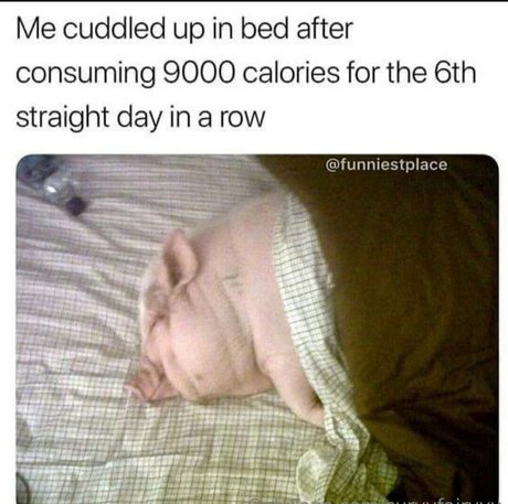 curvyfairyyy Profile pic